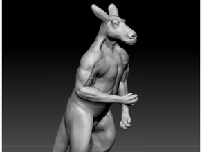 kangourou animaux fighter 3d print model - Mito3D