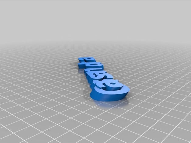 my customized iamburnystext name keyring keyfob organization 3D print model - Mito3D