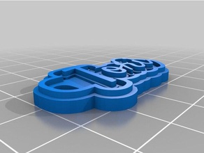 tori etiketi Anahtarlık özelleştirilmiş 3d print model - Mito3D