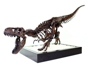 squelette de t-rex leo burton mont la biologie cool jurassicpark jurassic park remixchallenge court des trucs trex trexremix ultimaker 3d print model - Mito3D