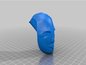 faccia sculture art frullatore skinny 3d print model - Mito3D