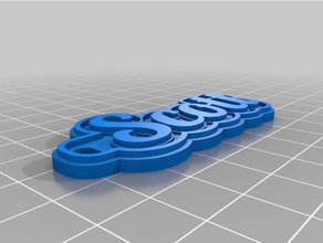 scott tag keychains customized 3d print model - Mito3D