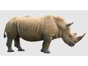 rhino 3d la impresión el rinoceronte 3d print model - Mito3D