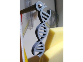 dna keychain 3d printing genetics 3d print model - Mito3D
