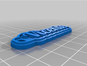 llavero vicente keychains customized 3d print model - Mito3D