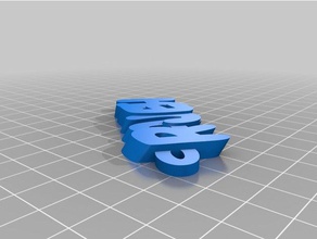 meine angepasste iamburnystext rajesh Organisation 3d print model - Mito3D