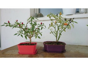 customizable bonchi pot containers bonsai customizer 3d print model - Mito3D