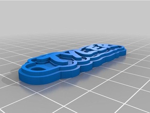 tyler tag keychain keychains customized 3d print model - Mito3D
