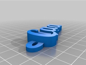 my customized iamburnystext -clara keyring keyfob organization 3d print model - Mito3D