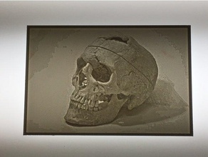 phineas gage de crâne lithopane 2d art humain la lumière 3d print model - Mito3D