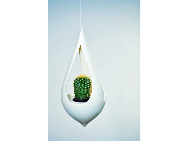 asılı vazo sanat kaktüs saksı Noel tasarım çiçek ücretsiz hediye harika yeşil hngende kaktus kunst doğa pflanze dikim kaplama heykel xmas 3D print model - Mito3D