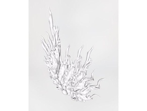 mercan şeyler matematik sanat fraktal Spiraller 3d print model - Mito3D