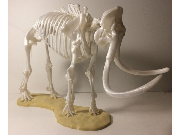 woolly mammoth skeleton animals elephant mastodon 3D print model - Mito3D