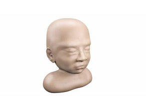 baby head biology anatomical models 3d print model - Mito3D
