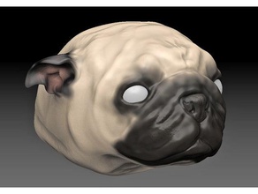 head pug dog sculptures 3d print model - Mito3D