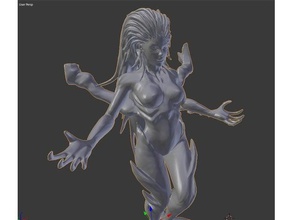 kerrigan sub-surfed body sculptures 3d print model - Mito3D