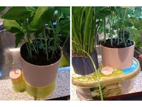 self watering herb planter outdoor & garden herbs 3d print model - Mito3D