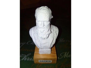 busto de darwin personas 3d print model - Mito3D