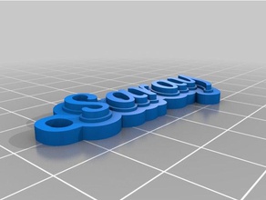 llavero saray Anahtarlık özelleştirilmiş 3d print model - Mito3D