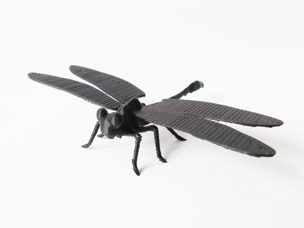dragonfly Tiere 3D print model - Mito3D