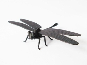 dragonfly Tiere 3d print model - Mito3D