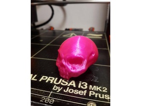 skull sculptures prusa i3 mk2 sculpting zbrush 3d print model - Mito3D
