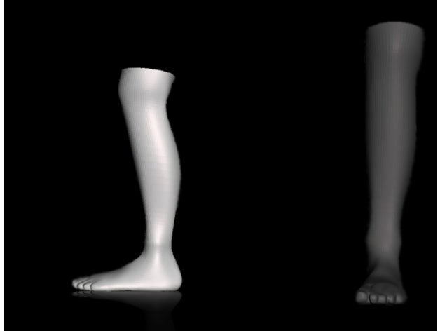 pé perna pessoas parte do corpo partes de humanos 3D print model - Mito3D