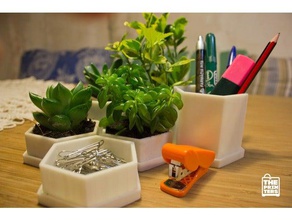 polygonal pot office flower pen pencil case 3d print model - Mito3D