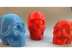 riley printable skull people 3d print model - Mito3D