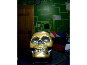 cosi adventure skull scans & replicas makerbotdigitizer scan 3d print model - Mito3D