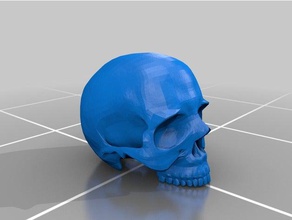skull 3d printing human skulls 3d print model - Mito3D