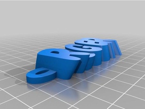 roger organización personalizado 3d print model - Mito3D