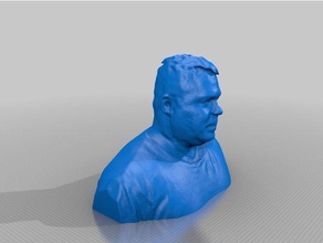 ken swick sculture 3d print model - Mito3D