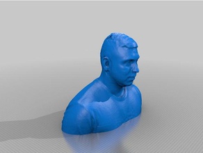 saini sculptures 3d print model - Mito3D