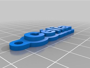 c lia de porte-clés personnalisé 3d print model - Mito3D