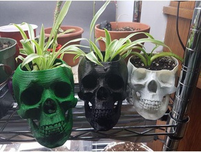 cráneo de la olla al aire libre y jardín humano planta maceta el araña filamento madera 3d print model - Mito3D