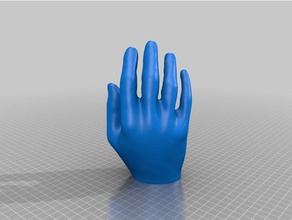 mano destra 3d print model - Mito3D