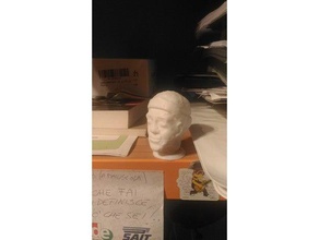 lebron james busto scansioni & repliche 3d print model - Mito3D