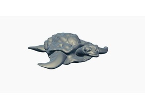 mare turtrle sculture animale tartaruga di la acqua 3d print model - Mito3D