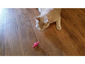 giocattolo del gatto - trottola gli animali domestici giocattoli spinning top 3d print model - Mito3D