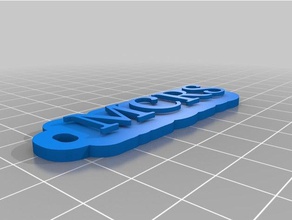 mcrs trousseau bleu de porte-clés personnalisé 3d print model - Mito3D