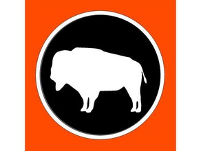 buffalo buzdolabı mıknatısı hayvanlar wslab 3d print model - Mito3D