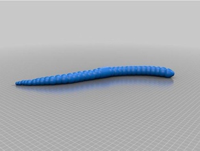 lombric worm animali 3d print model - Mito3D