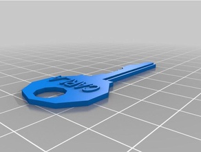 juguete clave fuentes de la casa personalizado 3d print model - Mito3D