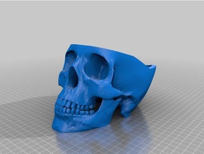 skull container 3d printing 3d print model - Mito3D