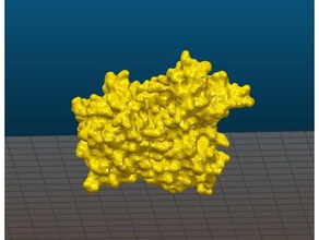 trex1 protein biyoloji dna trex 3d print model - Mito3D