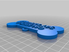 my customized pet dog tag bone pets 3d print model - Mito3D