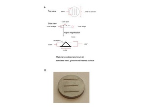 recombinant gonade orgue de la culture moisissure l'apprentissage 3d print model - Mito3D