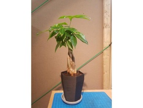 hexing bitki pot açık ve bahçe altıgen ekici bitkiler 3d print model - Mito3D