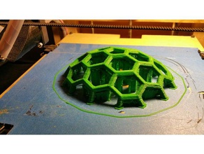 guscio di tartaruga brace La stampa 3d 3d print model - Mito3D
